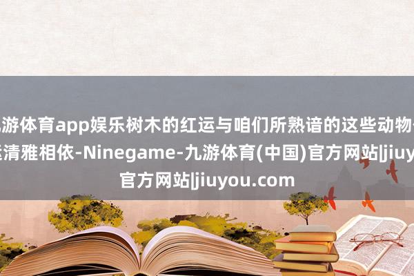 九游体育app娱乐树木的红运与咱们所熟谙的这些动物伙伴的红运清雅相依-Ninegame-九游体育(中国)官方网站|jiuyou.com