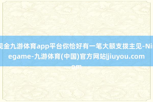 现金九游体育app平台你恰好有一笔大额支拨主见-Ninegame-九游体育(中国)官方网站|jiuyou.com