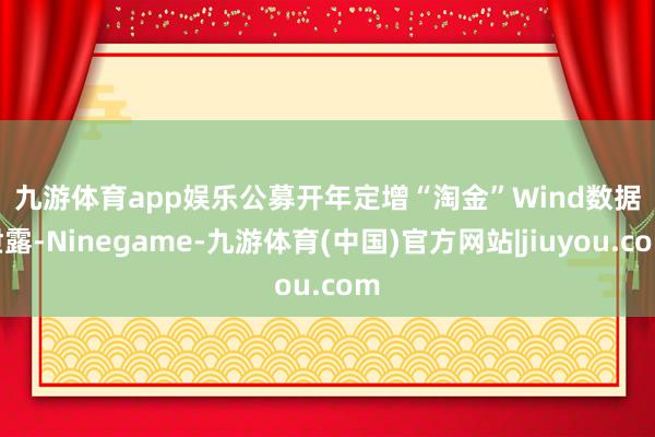 九游体育app娱乐 公募开年定增“淘金” Wind数据泄露-Ninegame-九游体育(中国)官方网站|jiuyou.com