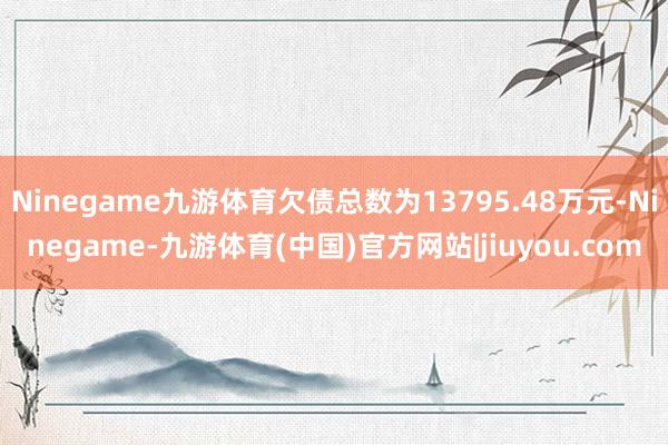 Ninegame九游体育欠债总数为13795.48万元-Ninegame-九游体育(中国)官方网站|jiuyou.com