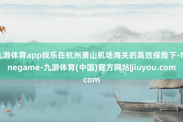九游体育app娱乐在杭州萧山机场海关的高效保险下-Ninegame-九游体育(中国)官方网站|jiuyou.com