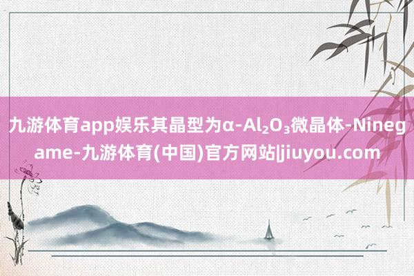 九游体育app娱乐其晶型为α-Al₂O₃微晶体-Ninegame-九游体育(中国)官方网站|jiuyou.com