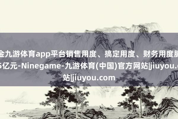 现金九游体育app平台销售用度、搞定用度、财务用度臆测3.05亿元-Ninegame-九游体育(中国)官方网站|jiuyou.com