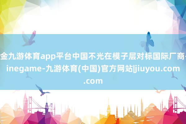 现金九游体育app平台中国不光在模子层对标国际厂商-Ninegame-九游体育(中国)官方网站|jiuyou.com